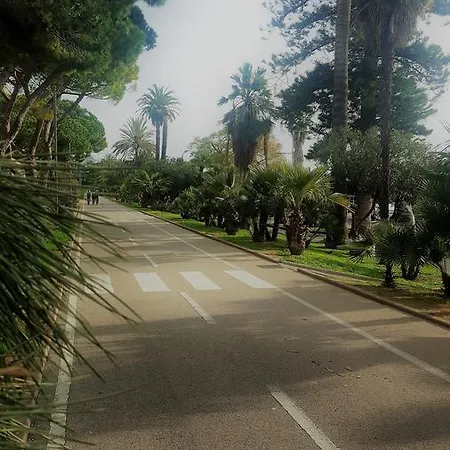 Palafiori